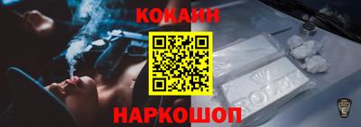 дмт Гатчина