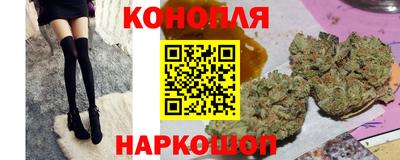 мдпв Гай