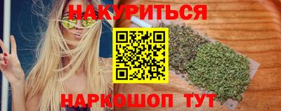 дмт Гатчина