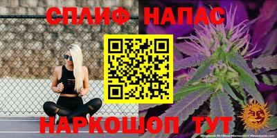 дмт Гатчина