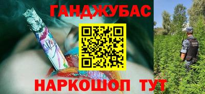 дмт Гатчина