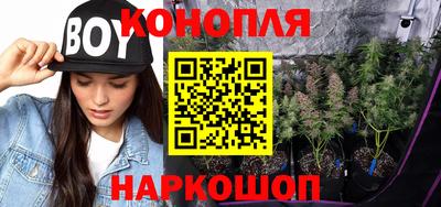 дмт Гатчина